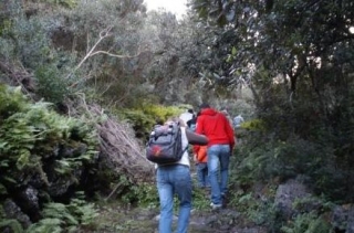  Trekking on foot with guide 